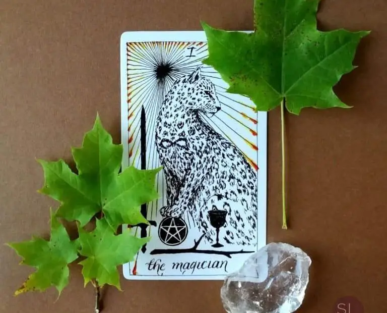 What Is A Daily Tarot Spread And What Is It Used For?
