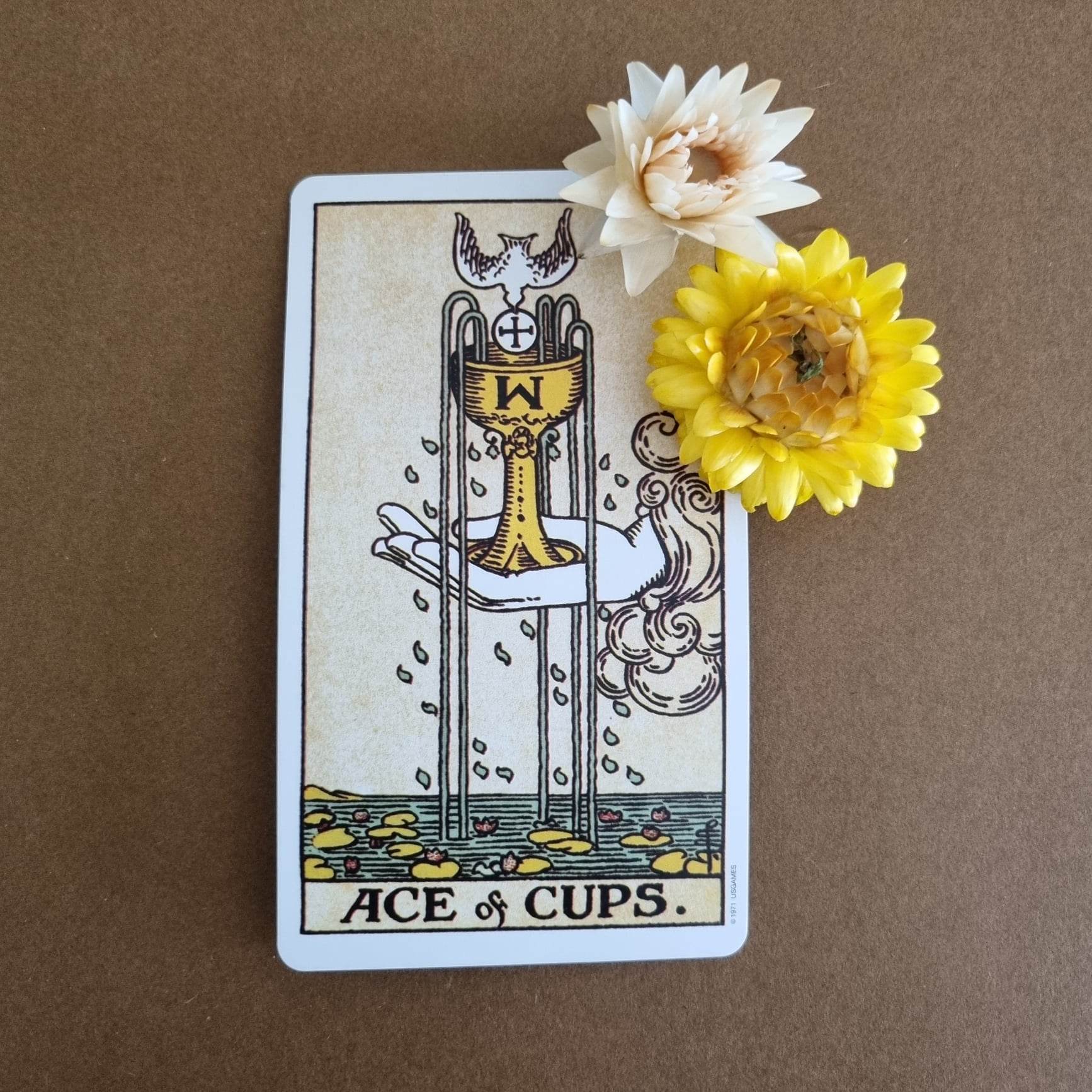 Tarot Cards That Indicate Pregnancy Sage's Lantern Tarot