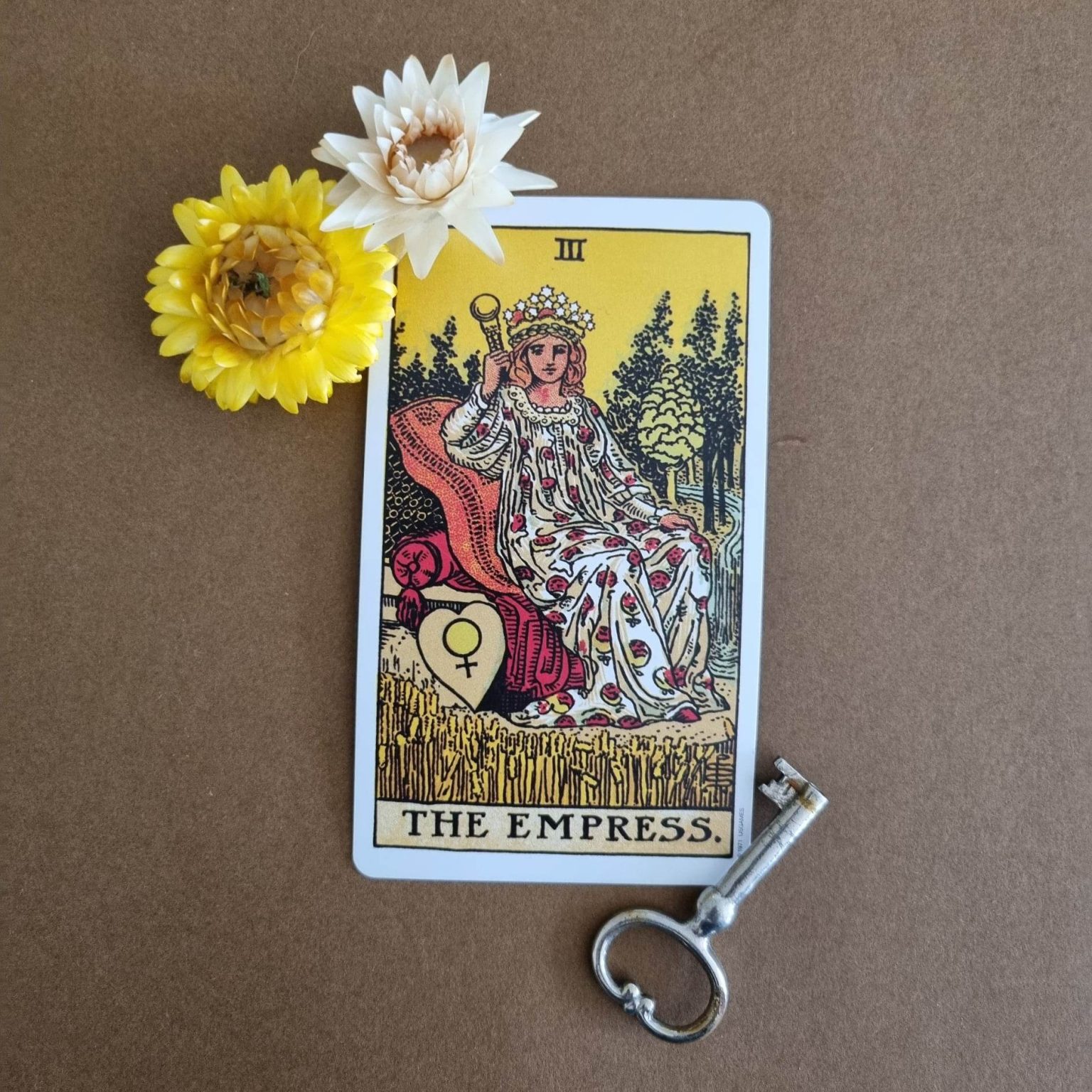 Tarot Cards That Indicate Pregnancy Sage's Lantern Tarot