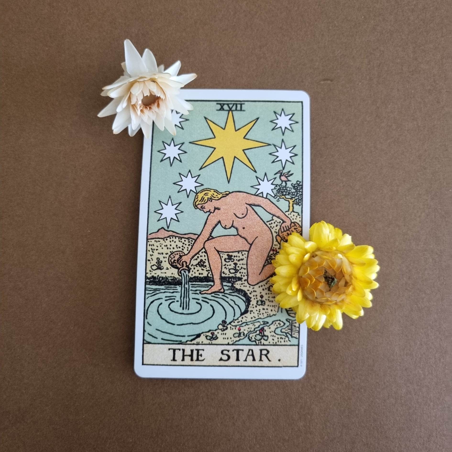 Tarot Cards That Indicate Pregnancy Sage's Lantern Tarot