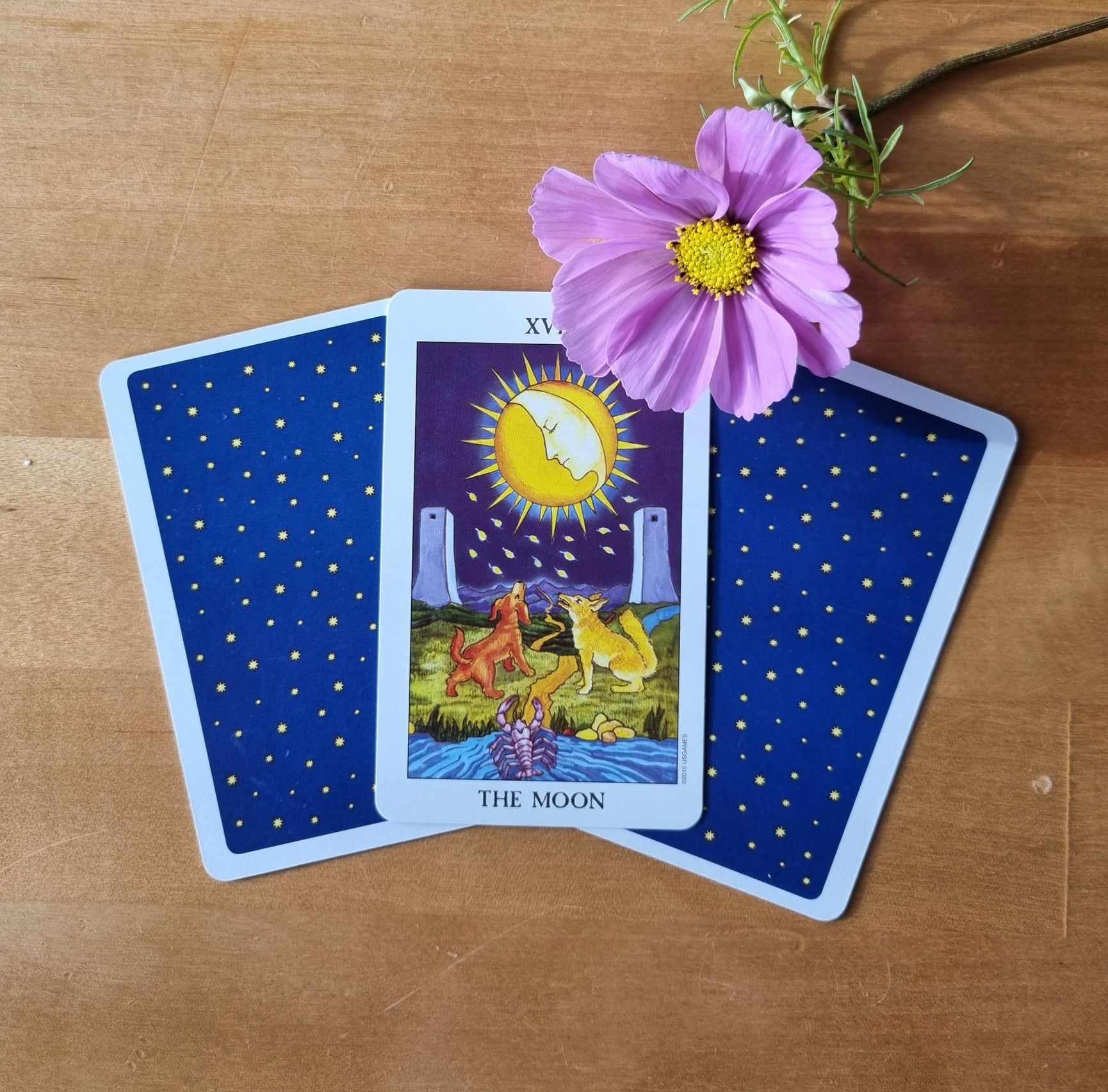 Tarot Cards That Indicate A New Job Sage's Lantern Tarot